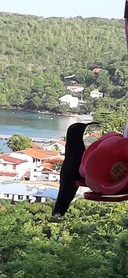Appartement Colibri , Les Anses D 'Arlet Eksteriør bilde